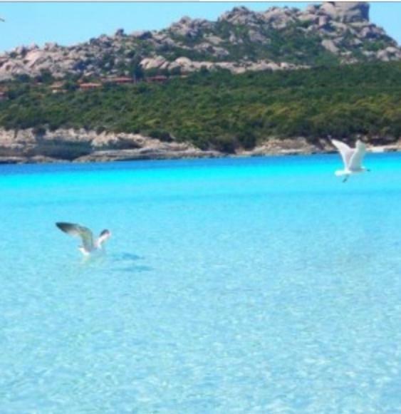 Gg Luxury Apartments - Santa Teresa Di Gallura Exteriér fotografie